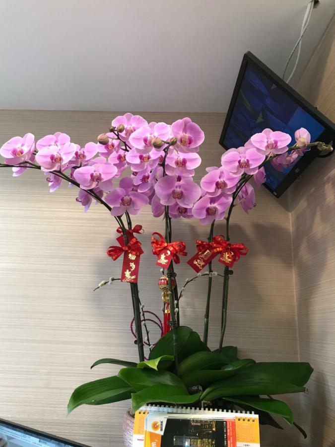 Vve Vve Hotel ฮ่องกง ภายนอก รูปภาพ